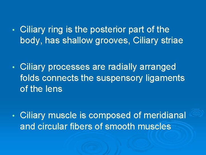  • Ciliary ring is the posterior part of the body, has shallow grooves,