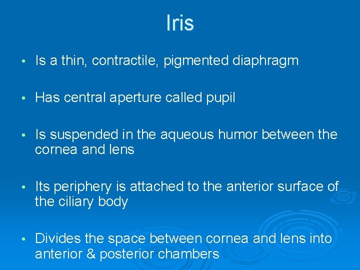 Iris • Is a thin, contractile, pigmented diaphragm • Has central aperture called pupil