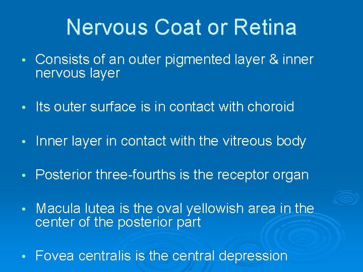 Nervous Coat or Retina • Consists of an outer pigmented layer & inner nervous