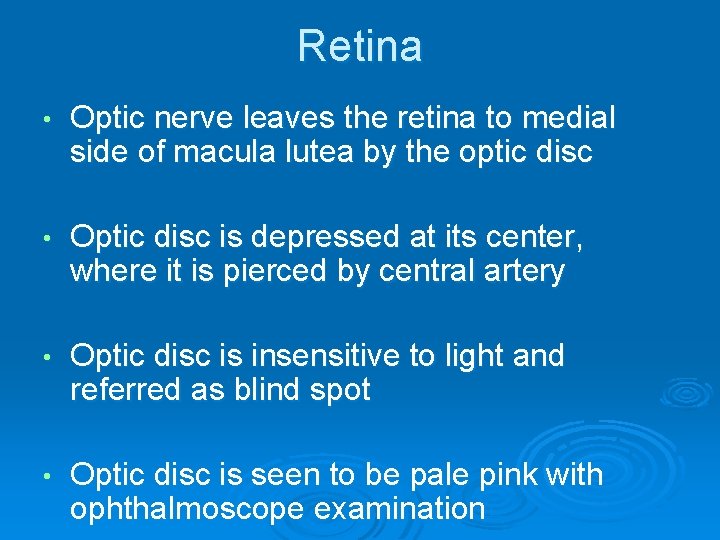 Retina • Optic nerve leaves the retina to medial side of macula lutea by