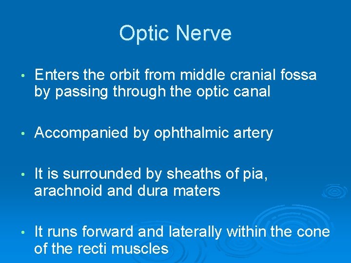 Optic Nerve • Enters the orbit from middle cranial fossa by passing through the