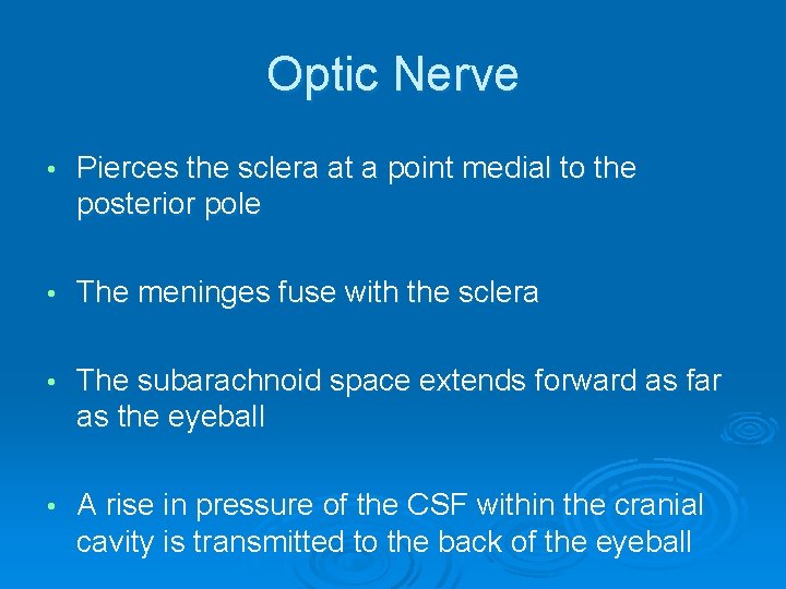 Optic Nerve • Pierces the sclera at a point medial to the posterior pole