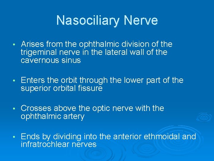 Nasociliary Nerve • Arises from the ophthalmic division of the trigeminal nerve in the