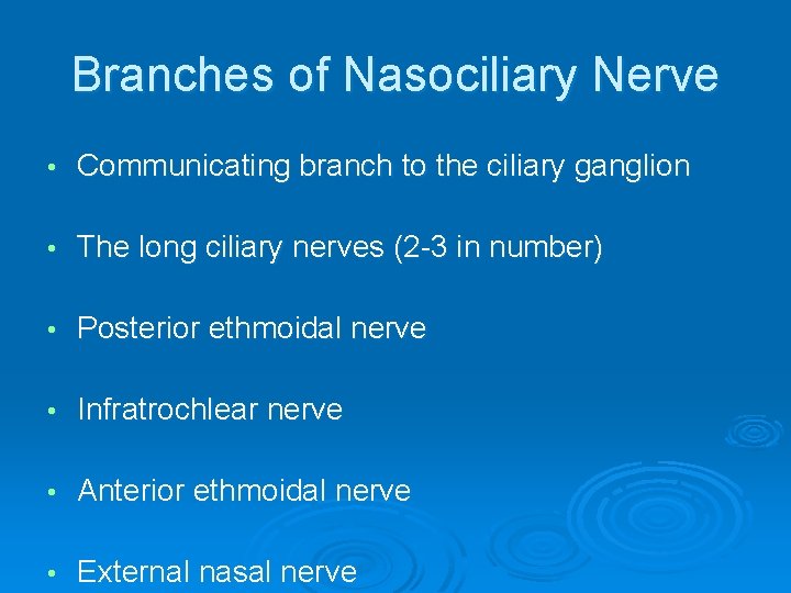 Branches of Nasociliary Nerve • Communicating branch to the ciliary ganglion • The long