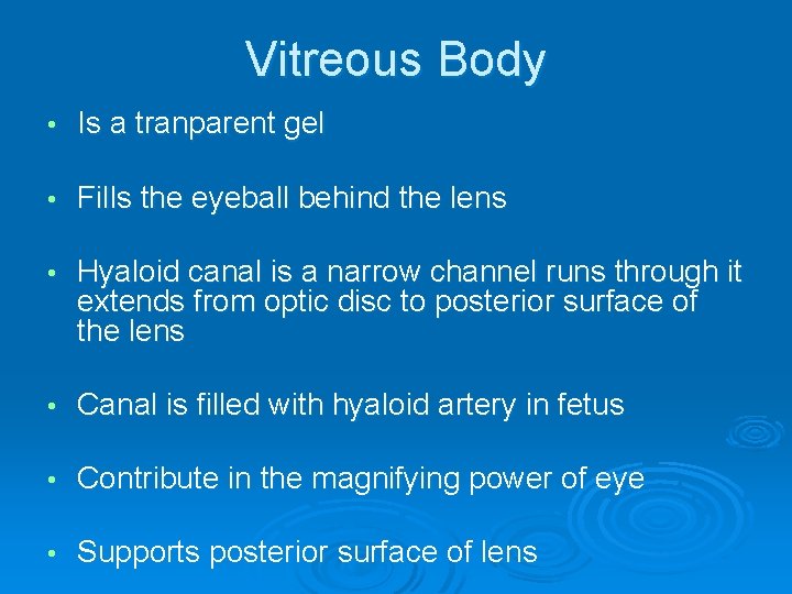 Vitreous Body • Is a tranparent gel • Fills the eyeball behind the lens