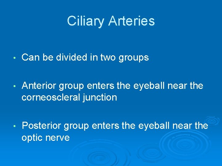 Ciliary Arteries • Can be divided in two groups • Anterior group enters the