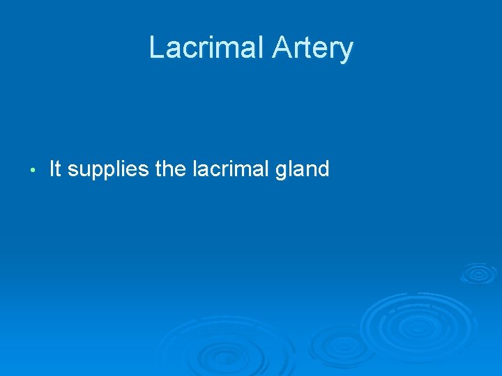 Lacrimal Artery • It supplies the lacrimal gland 
