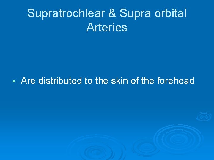 Supratrochlear & Supra orbital Arteries • Are distributed to the skin of the forehead