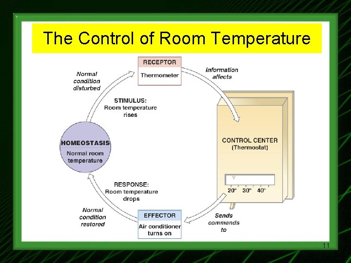 The Control of Room Temperature 11 