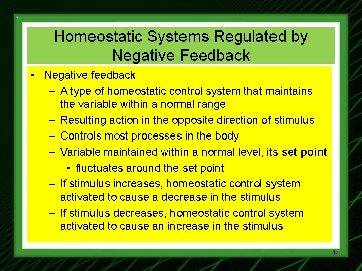 Homeostatic Systems Regulated by Negative Feedback • Negative feedback – A type of homeostatic