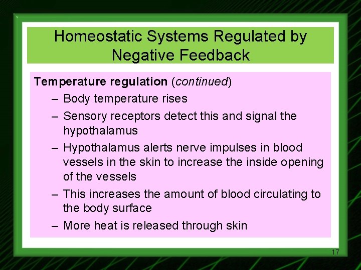 Homeostatic Systems Regulated by Negative Feedback Temperature regulation (continued) – Body temperature rises –