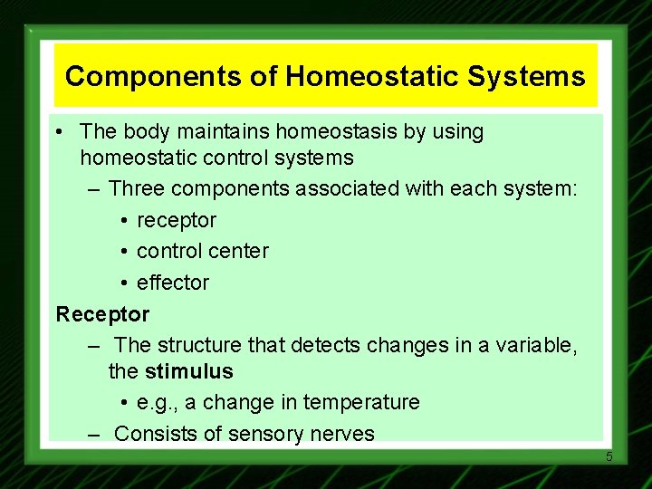 Components of Homeostatic Systems • The body maintains homeostasis by using homeostatic control systems