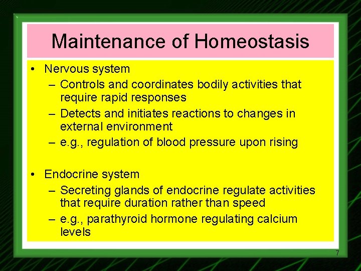 Maintenance of Homeostasis • Nervous system – Controls and coordinates bodily activities that require