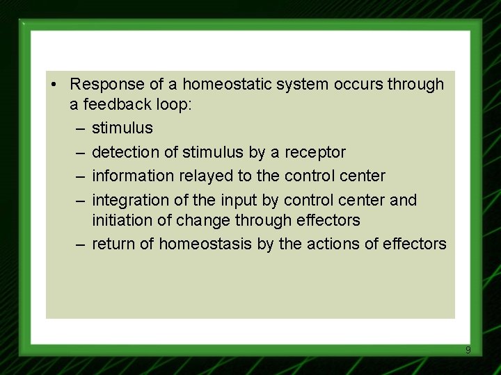  • Response of a homeostatic system occurs through a feedback loop: – stimulus