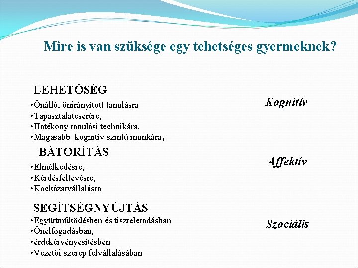 Mire is van szüksége egy tehetséges gyermeknek? LEHETŐSÉG • Önálló, önirányított tanulásra • Tapasztalatcserére,