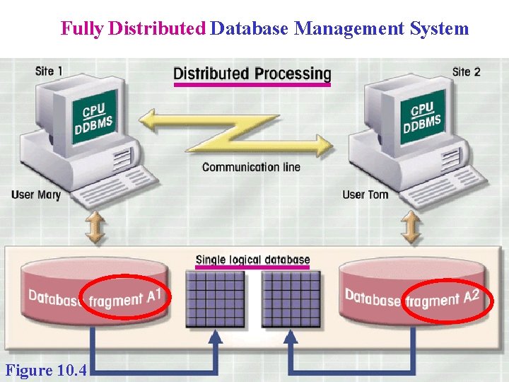 Fully Distributed Database Management System Figure 10. 4 Fully Distributed Database Management System Figure 10. 4