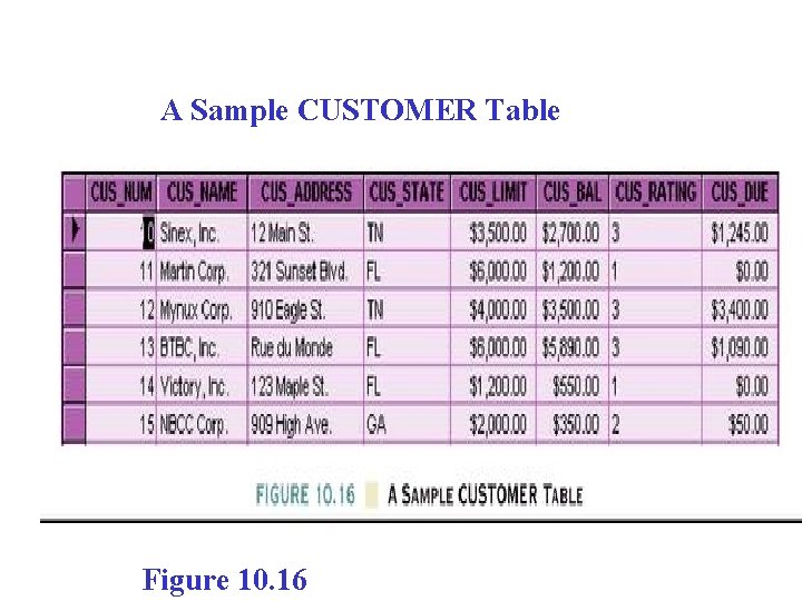 A Sample CUSTOMER Table Figure 10. 16 A Sample CUSTOMER Table Figure 10. 16