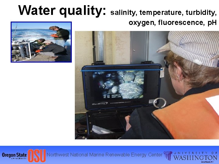 Water quality: salinity, temperature, turbidity, oxygen, fluorescence, p. H Northwest National Marine Renewable Energy