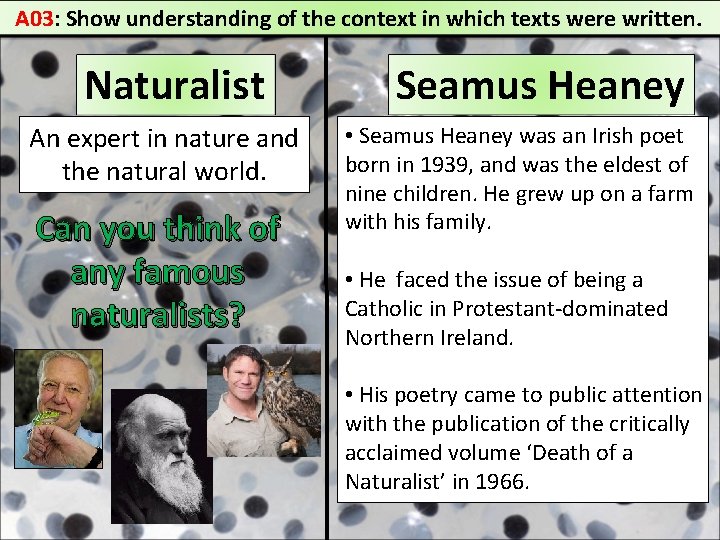 A 03: Show understanding of the context in which texts were written. Naturalist An