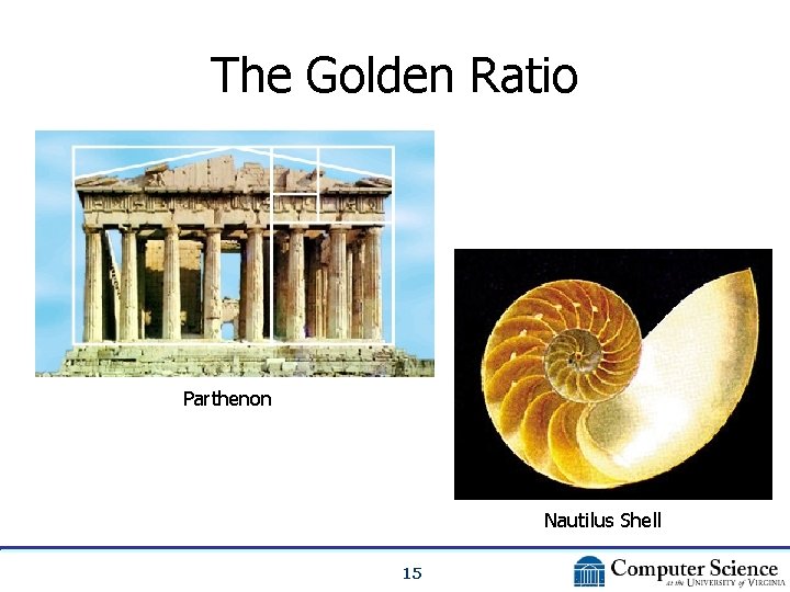 The Golden Ratio Parthenon Nautilus Shell 15 