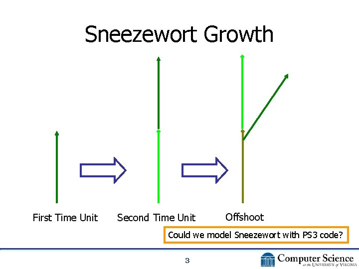 Sneezewort Growth First Time Unit Second Time Unit Offshoot Could we model Sneezewort with