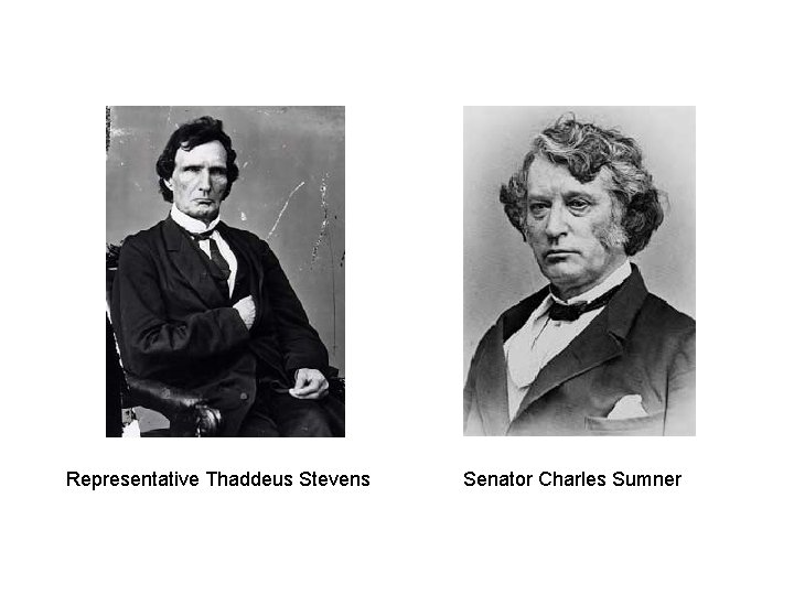 Representative Thaddeus Stevens Senator Charles Sumner 