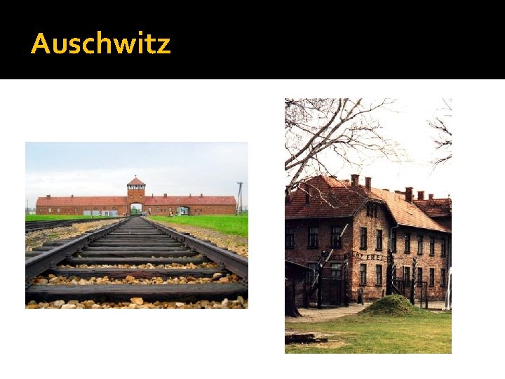 Auschwitz 