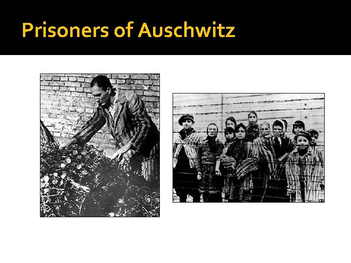 Prisoners of Auschwitz Prisoners of Auschwitz