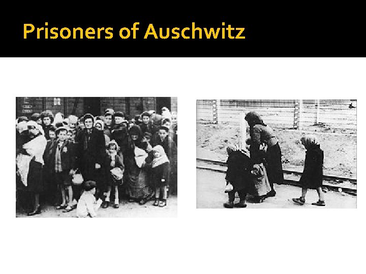 Prisoners of Auschwitz 