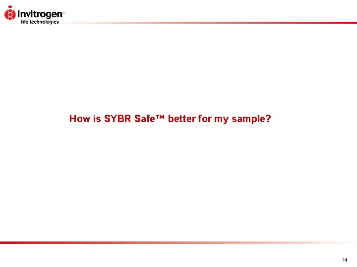 How is SYBR Safe™ better for my sample? 14 