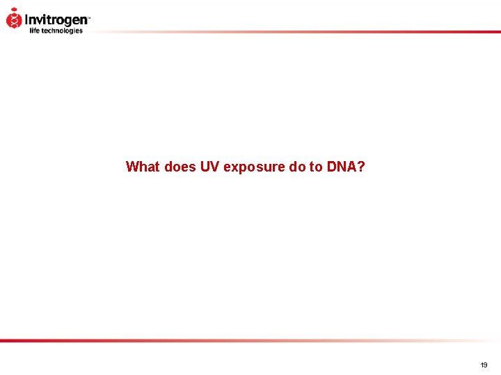 What does UV exposure do to DNA? 19 