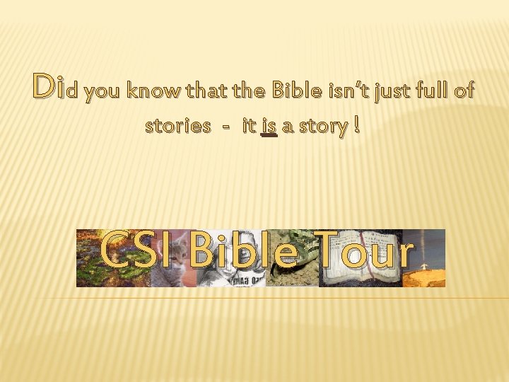 Did you know that the Bible isn’t just full of stories - it is