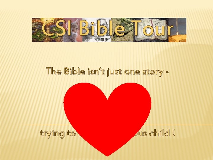 CSI Bible Tour The Bible isn’t just one story -it is the story of