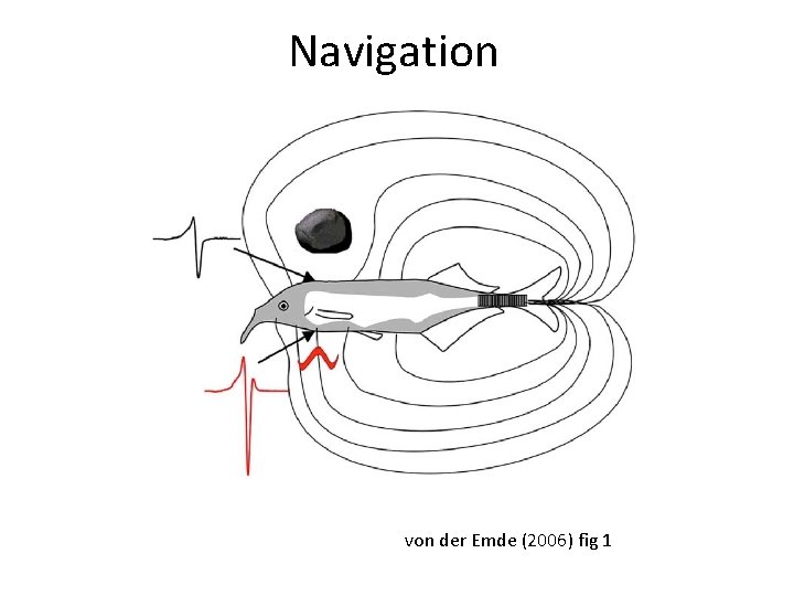 Navigation von der Emde (2006) fig 1 