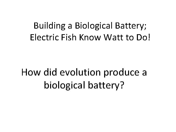 Building a Biological Battery; Electric Fish Know Watt to Do! How did evolution produce