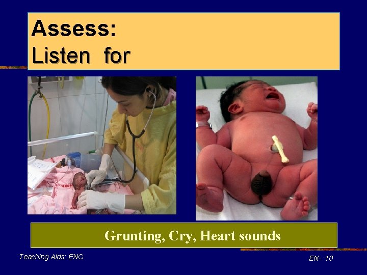 Assess: Listen for Grunting, Cry, Heart sounds Teaching Aids: ENC EN- 10 