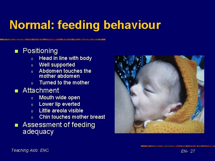 Normal: feeding behaviour n Positioning o o n Attachment o o n Head in