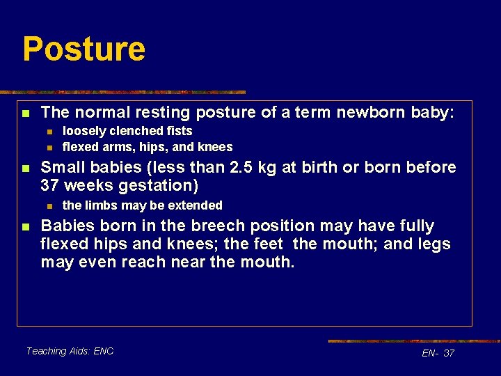 Posture n The normal resting posture of a term newborn baby: n n n