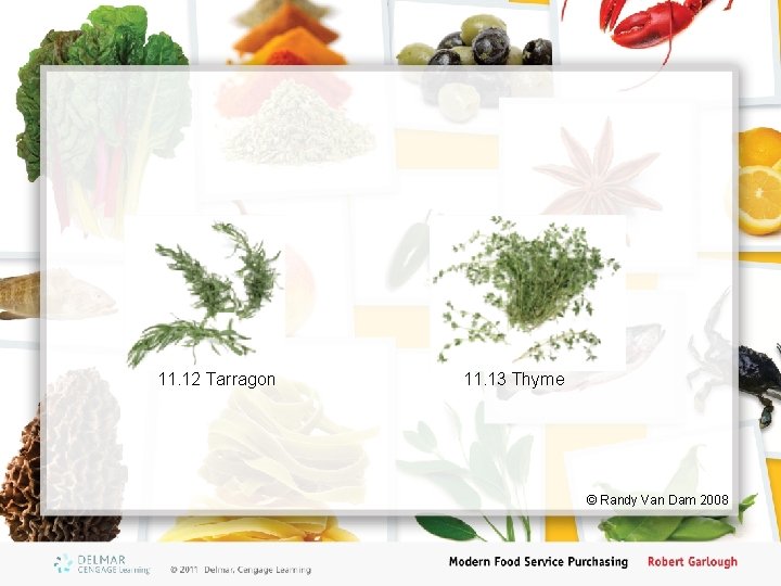 11. 12 Tarragon 11. 13 Thyme © Randy Van Dam 2008 