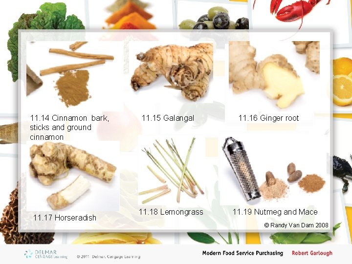 11. 14 Cinnamon bark, sticks and ground cinnamon 11. 17 Horseradish 11. 15 Galangal