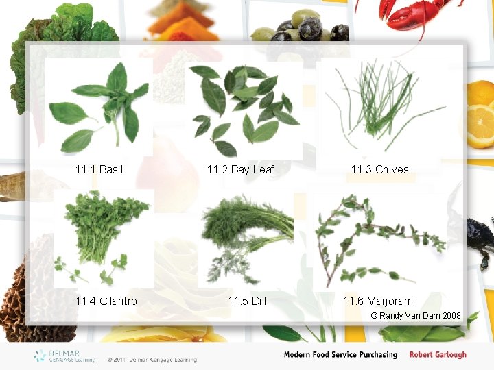 11. 1 Basil 11. 4 Cilantro 11. 2 Bay Leaf 11. 5 Dill 11.