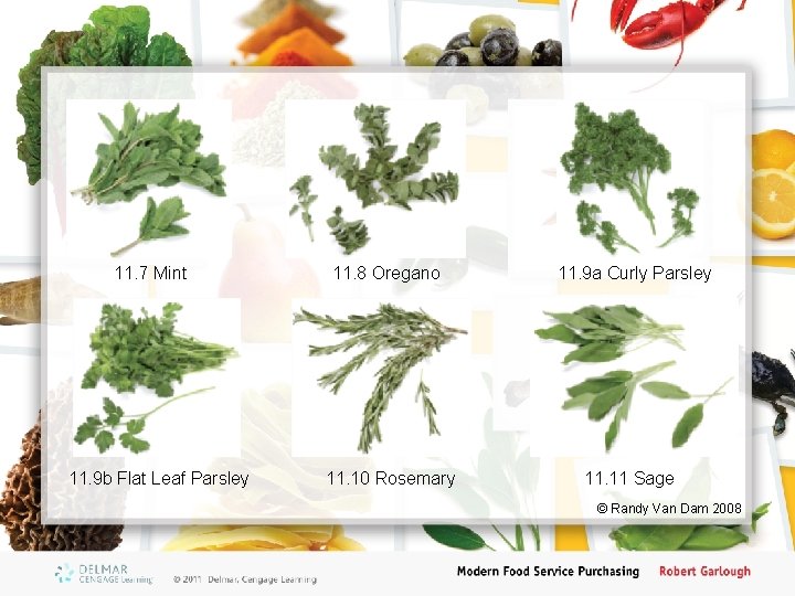 11. 7 Mint 11. 9 b Flat Leaf Parsley 11. 8 Oregano 11. 10