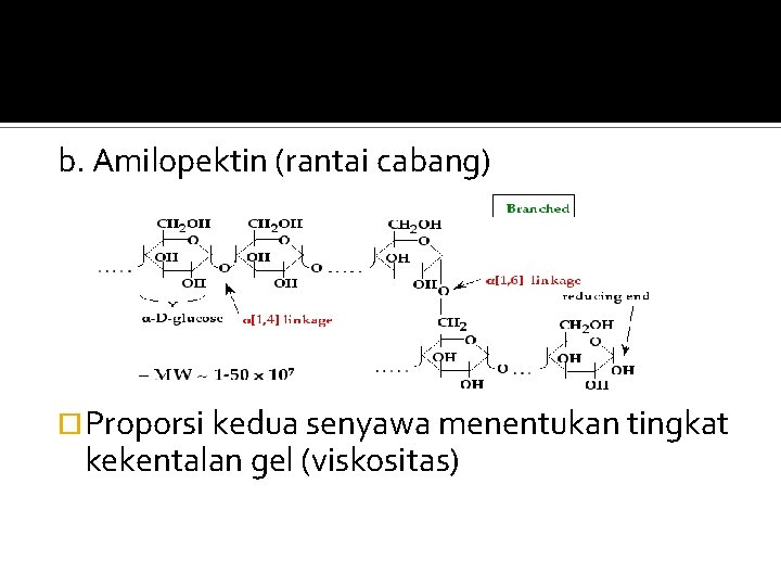 b. Amilopektin (rantai cabang) Proporsi kedua senyawa menentukan tingkat kekentalan gel (viskositas) 