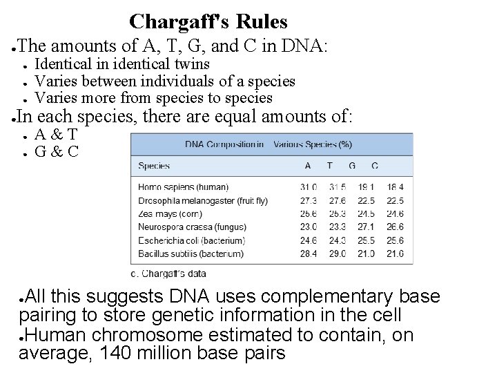 Chargaff's Rules The amounts of A, T, G, and C in DNA: ● ●