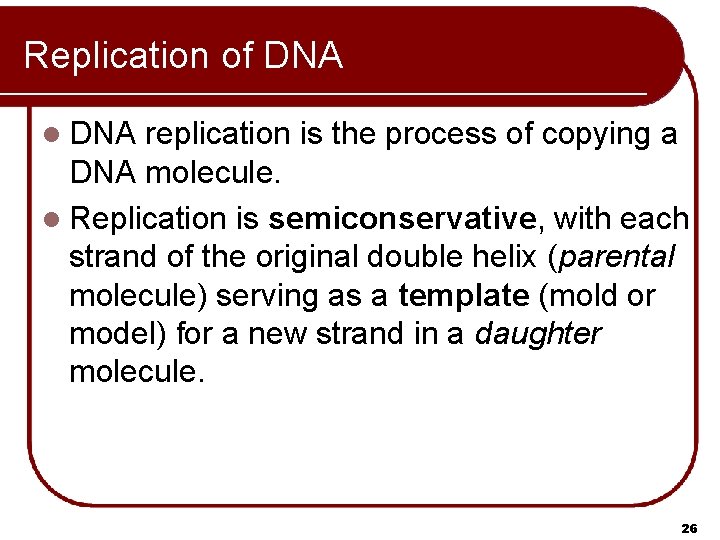 Replication of DNA l DNA replication is the process of copying a DNA molecule.