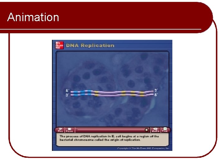 Animation Please note that due to differing operating systems, some animations will not appear