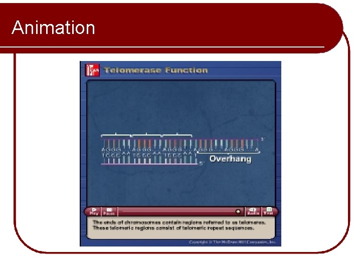 Animation Please note that due to differing operating systems, some animations will not appear