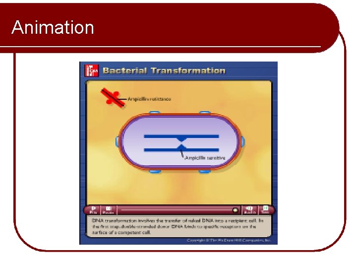 Animation Please note that due to differing operating systems, some animations will not appear