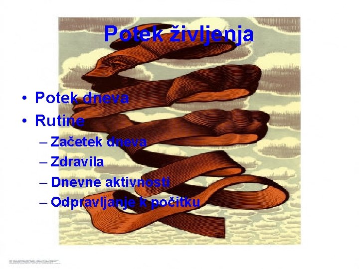 Potek življenja • Potek dneva • Rutine – Začetek dneva – Zdravila – Dnevne