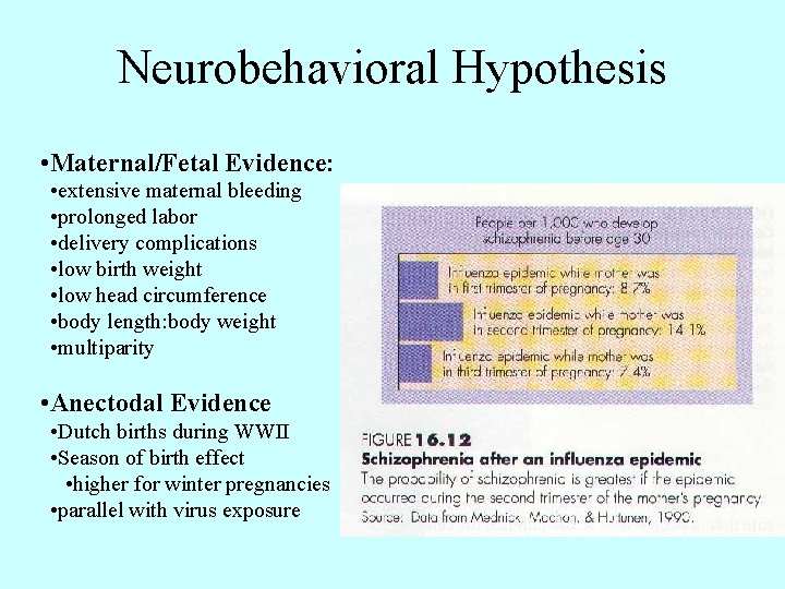 Neurobehavioral Hypothesis • Maternal/Fetal Evidence: • extensive maternal bleeding • prolonged labor • delivery